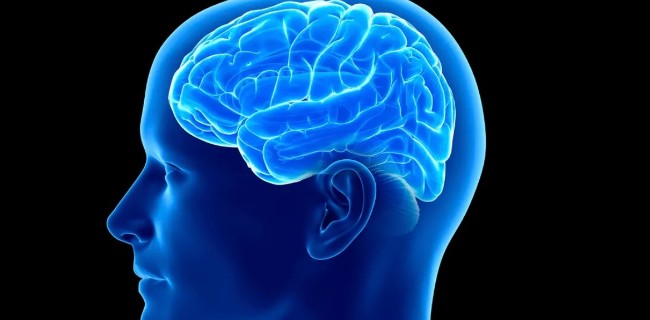 Noödinamik ne demek, Noödinamik nedir?